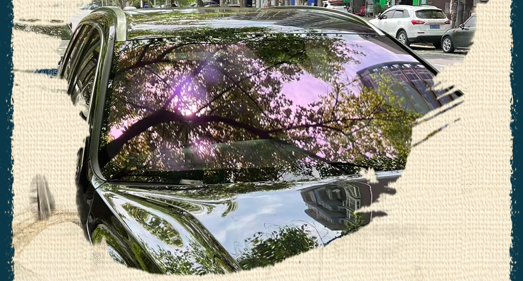1782288693617507O8qA.png 1.png